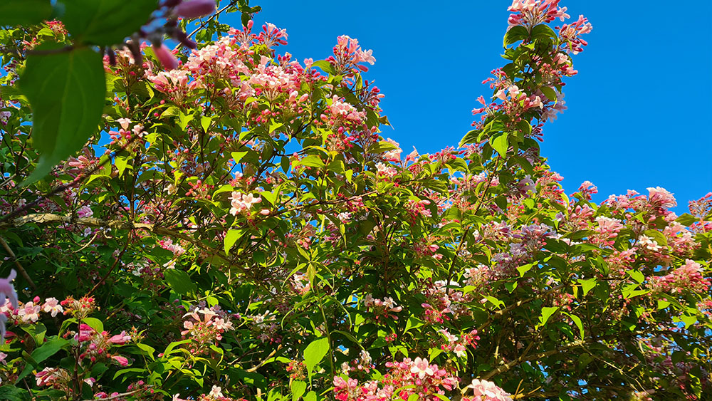 2021-06-10 20.04.52.jpg